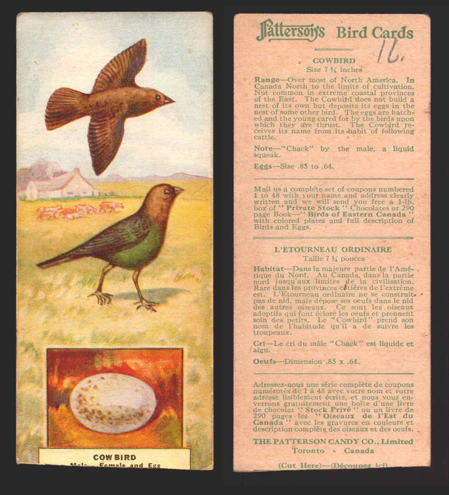 1924 Patterson's Bird Chocolate Vintage Trading Cards U Pick Singles #1-46 16 Cowbird  - TvMovieCards.com
