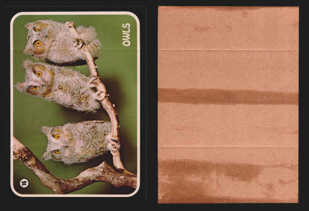 Zoo's Who Topps Animal Sticker Trading Cards You Pick Singles #1-40 1975 #16 Owls  - TvMovieCards.com