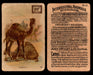 Interesting Animals You Pick Single Card #1-60 1892 J10 Church Arm & Hammer #16 Camels Dwight Soda  - TvMovieCards.com