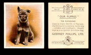 1936 Godfrey Phillips "Our Puppies" Tobacco You Pick Singles Trading Cards #1-30 #17 The Elkhound  - TvMovieCards.com