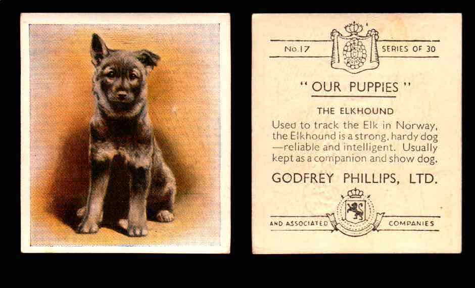 1936 Godfrey Phillips "Our Puppies" Tobacco You Pick Singles Trading Cards #1-30 #17 The Elkhound  - TvMovieCards.com
