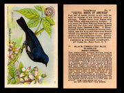 Birds - Useful Birds of America 3rd Series You Pick Singles Church & Dwight J-7 #17 Black-throated Blue Wood Warbler  - TvMovieCards.com