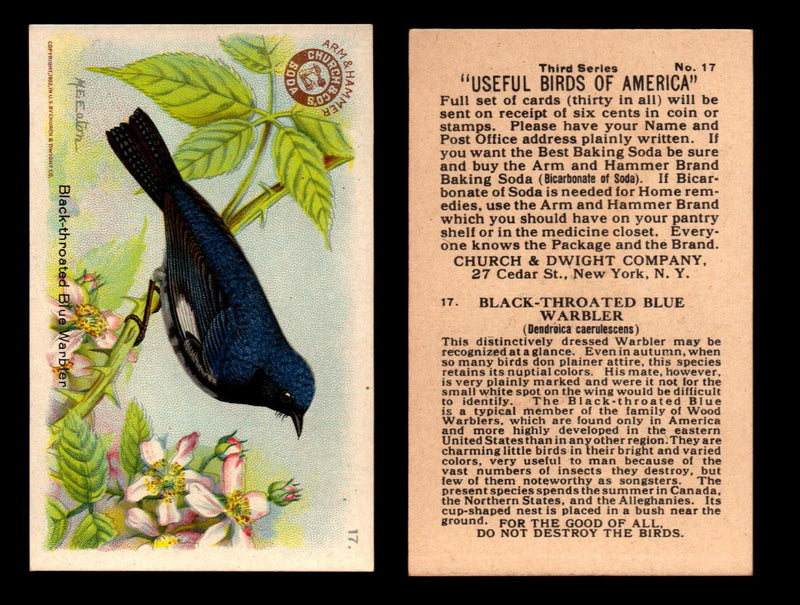 Birds - Useful Birds of America 3rd Series You Pick Singles Church & Dwight J-7 #17 Black-throated Blue Wood Warbler  - TvMovieCards.com