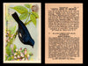 Birds - Useful Birds of America 3rd Series You Pick Singles Church & Dwight J-7 #17 Black-throated Blue Wood Warbler  - TvMovieCards.com