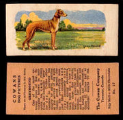 1929 V13 Cowans Dog Pictures Vintage Trading Cards You Pick Singles #1-24 #17 Greyhound  - TvMovieCards.com