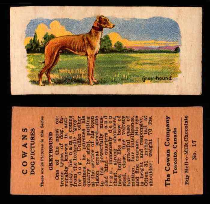 1929 V13 Cowans Dog Pictures Vintage Trading Cards You Pick Singles #1-24 #17 Greyhound  - TvMovieCards.com