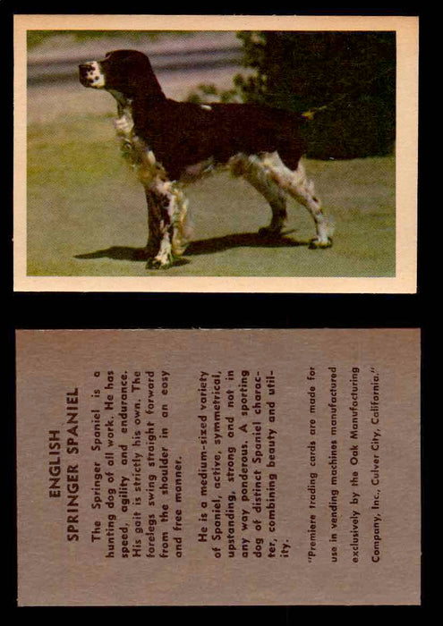 1957 Dogs Premiere Oak Man. R-724-4 Vintage Trading Cards You Pick Singles #1-42 #17 English Springer Spaniel  - TvMovieCards.com