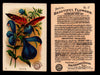 Beautiful Flowers New Series You Pick Singles Card #1-#60 Arm & Hammer 1888 J16 #17 Salvia  - TvMovieCards.com