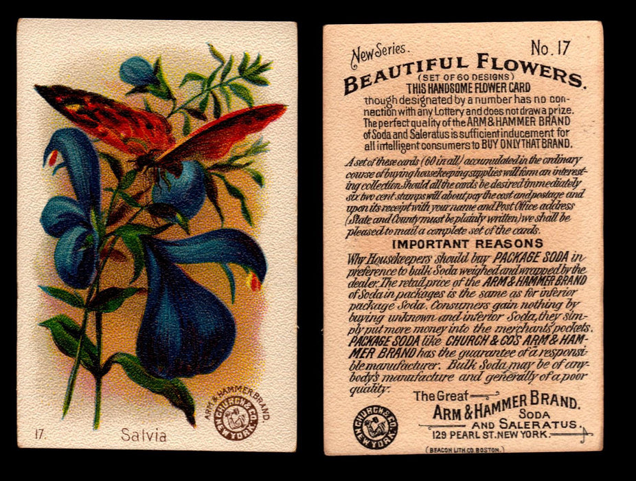Beautiful Flowers New Series You Pick Singles Card #1-#60 Arm & Hammer 1888 J16 #17 Salvia  - TvMovieCards.com