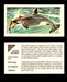 Nature Untamed Nabisco Vintage Trading Cards You Pick Singles #1-24 #17 Killer Whale  - TvMovieCards.com