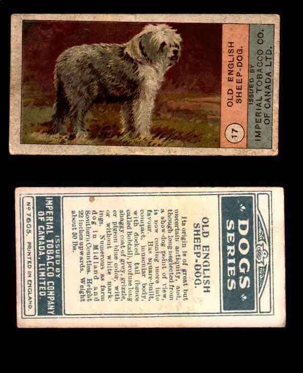 1924 Dogs Series Imperial Tobacco Vintage Trading Cards U Pick Singles #1-24 #17 Old English Sheep-Dog  - TvMovieCards.com