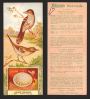 1924 Patterson's Bird Chocolate Vintage Trading Cards U Pick Singles #1-46 17 Brown Thrasher  - TvMovieCards.com