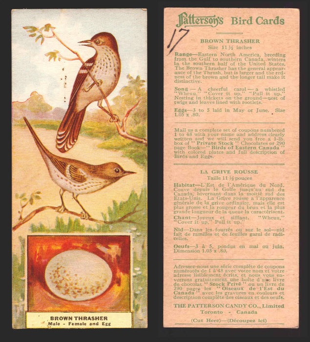 1924 Patterson's Bird Chocolate Vintage Trading Cards U Pick Singles #1-46 17 Brown Thrasher  - TvMovieCards.com