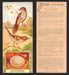 1924 Patterson's Bird Chocolate Vintage Trading Cards U Pick Singles #1-46 17 Brown Thrasher  - TvMovieCards.com