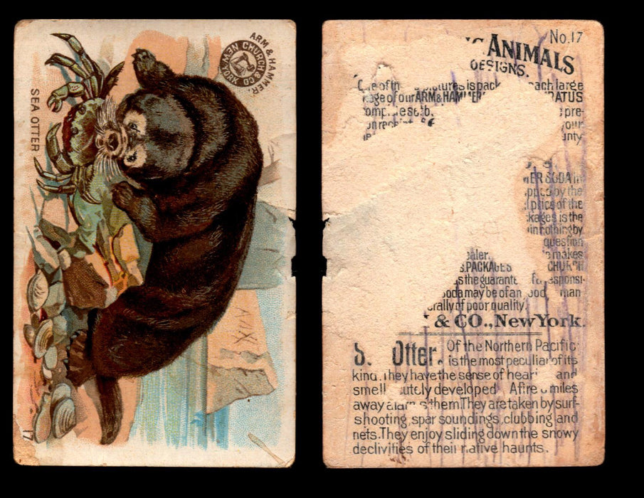 Interesting Animals You Pick Single Card #1-60 1892 J10 Church Arm & Hammer #17 Sea Otter Damaged Back  - TvMovieCards.com