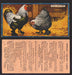 1924 V12 Cowans Chicken Pictures Vintage Trading Cards You Pick Singles #1-24 #17 Dark Brahmas  - TvMovieCards.com