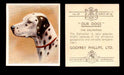 1939 Godfrey Phillips "Our Dogs" Tobacco You Pick Singles Trading Cards #1-30 #17 The Dalmatian  - TvMovieCards.com