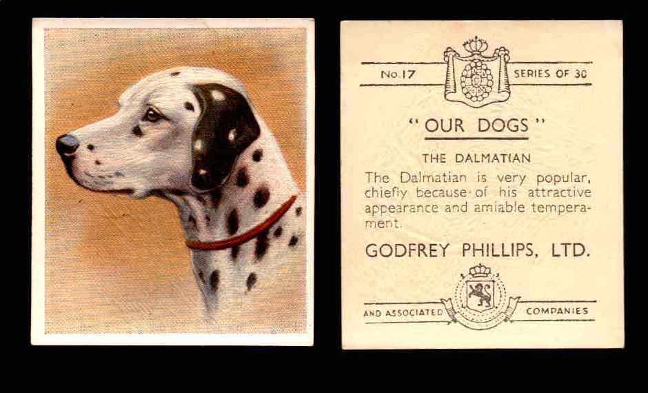 1939 Godfrey Phillips "Our Dogs" Tobacco You Pick Singles Trading Cards #1-30 #17 The Dalmatian  - TvMovieCards.com