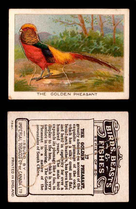 1923 Birds, Beasts, Fishes C1 Imperial Tobacco Vintage Trading Cards Singles #17 The Golden Pheasant  - TvMovieCards.com