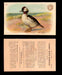 1904 Arm & Hammer Game Bird Series Vintage Trading Cards Singles #1-30 #18 Bufflehead  - TvMovieCards.com
