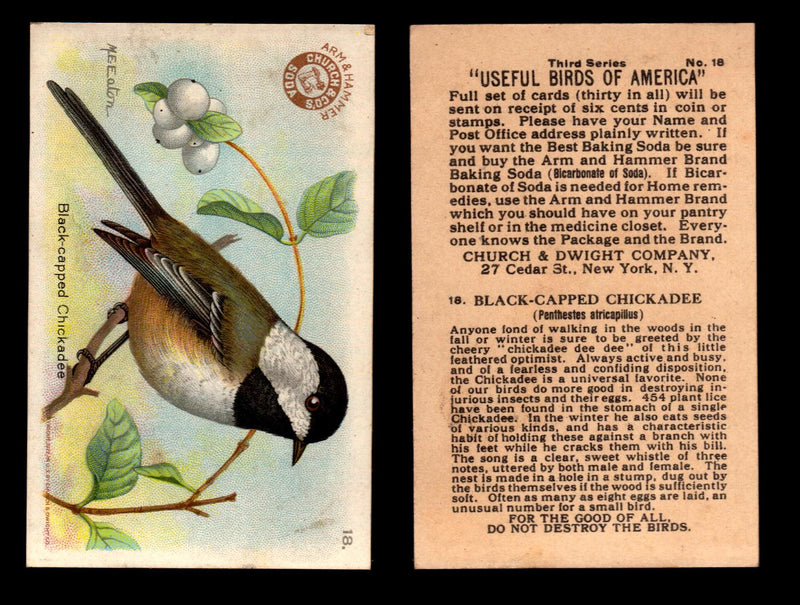 Birds - Useful Birds of America 3rd Series You Pick Singles Church & Dwight J-7 #18 Black-caped Chickadee  - TvMovieCards.com