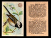 Birds - Useful Birds of America 3rd Series You Pick Singles Church & Dwight J-7 #18 Black-caped Chickadee  - TvMovieCards.com