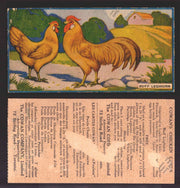 1924 V12 Cowans Chicken Pictures Vintage Trading Cards You Pick Singles #1-24 #18 Buff Leghorn  - TvMovieCards.com