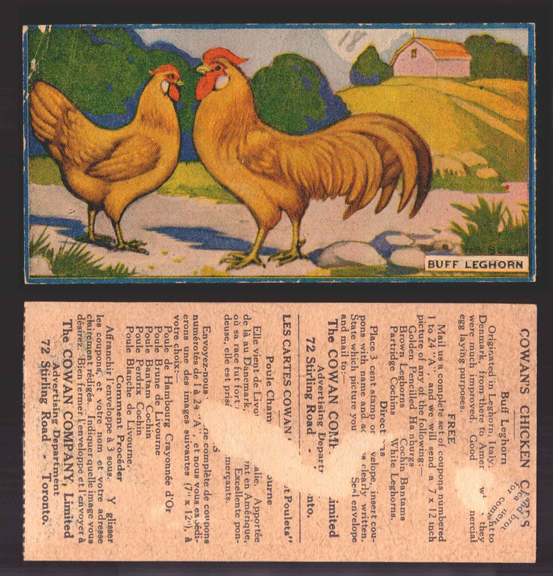 1924 V12 Cowans Chicken Pictures Vintage Trading Cards You Pick Singles #1-24 #18 Buff Leghorn  - TvMovieCards.com