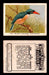 1923 Birds, Beasts, Fishes C1 Imperial Tobacco Vintage Trading Cards Singles #18 The Black-Cheeked Kingfisher  - TvMovieCards.com