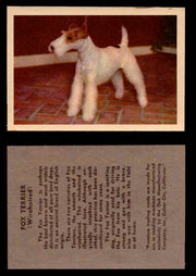 1957 Dogs Premiere Oak Man. R-724-4 Vintage Trading Cards You Pick Singles #1-42 #18 Fox Terrier (Wirehaired)  - TvMovieCards.com
