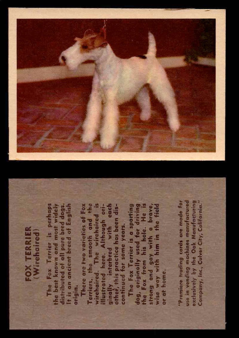 1957 Dogs Premiere Oak Man. R-724-4 Vintage Trading Cards You Pick Singles #1-42 #18 Fox Terrier (Wirehaired)  - TvMovieCards.com