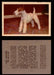 1957 Dogs Premiere Oak Man. R-724-4 Vintage Trading Cards You Pick Singles #1-42 #18 Fox Terrier (Wirehaired)  - TvMovieCards.com