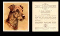 1939 Godfrey Phillips "Our Dogs" Tobacco You Pick Singles Trading Cards #1-30 #18 The Airedale  - TvMovieCards.com