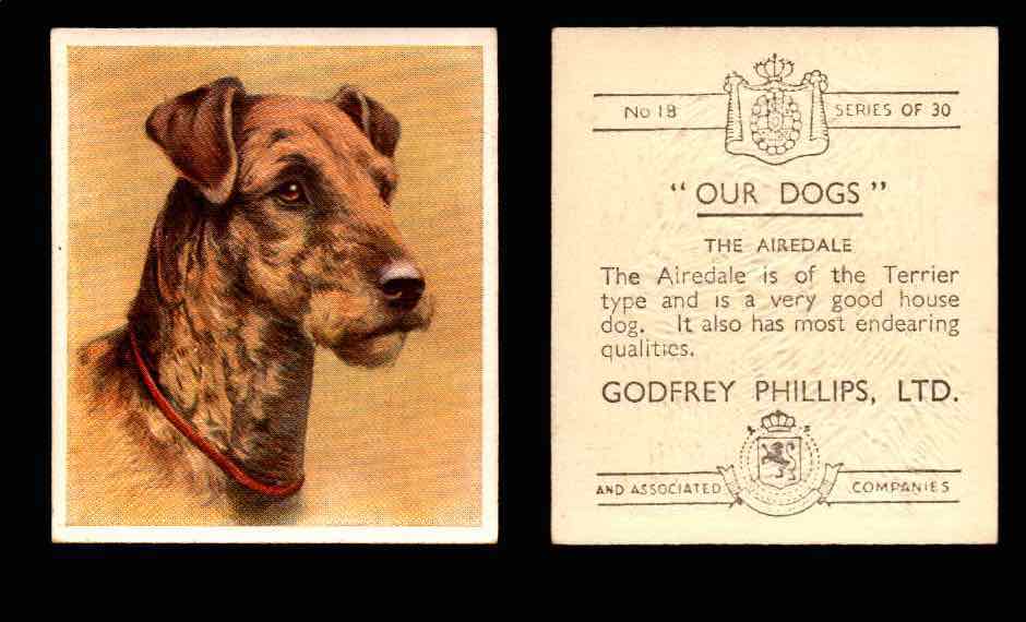 1939 Godfrey Phillips "Our Dogs" Tobacco You Pick Singles Trading Cards #1-30 #18 The Airedale  - TvMovieCards.com