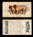 1925 Dogs 2nd Series Imperial Tobacco Vintage Trading Cards U Pick Singles #1-50 #18 Mastiffs  - TvMovieCards.com