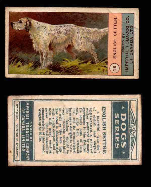1924 Dogs Series Imperial Tobacco Vintage Trading Cards U Pick Singles #1-24 #18 English Setter  - TvMovieCards.com