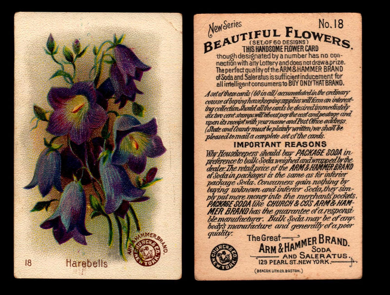 Beautiful Flowers New Series You Pick Singles Card #1-#60 Arm & Hammer 1888 J16 #18 Harebells  - TvMovieCards.com