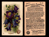 Beautiful Flowers New Series You Pick Singles Card #1-#60 Arm & Hammer 1888 J16 #18 Harebells  - TvMovieCards.com