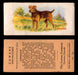 1929 V13 Cowans Dog Pictures Vintage Trading Cards You Pick Singles #1-24 #18 Airedale  - TvMovieCards.com