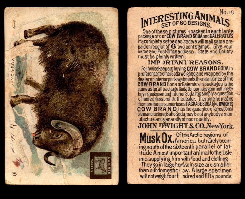 Interesting Animals You Pick Single Card #1-60 1892 J10 Church Arm & Hammer #18 Musk Ox Dwight Soda  - TvMovieCards.com
