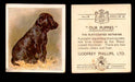 1936 Godfrey Phillips "Our Puppies" Tobacco You Pick Singles Trading Cards #1-30 #19 The Flat-Coated Retriever  - TvMovieCards.com
