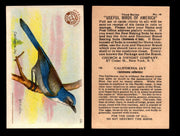 Birds - Useful Birds of America 3rd Series You Pick Singles Church & Dwight J-7 #19 California Jay  - TvMovieCards.com