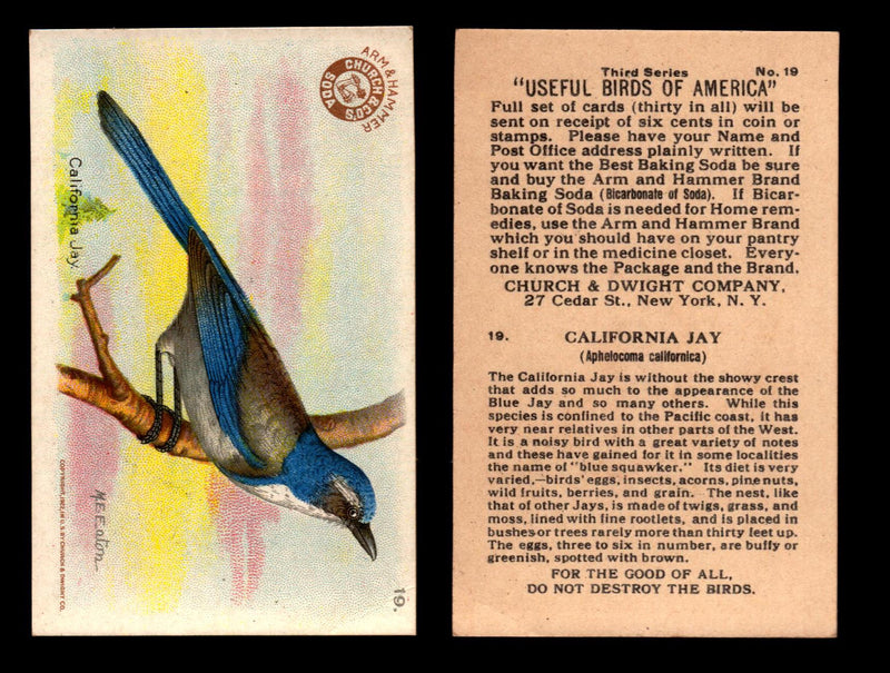 Birds - Useful Birds of America 3rd Series You Pick Singles Church & Dwight J-7 #19 California Jay  - TvMovieCards.com