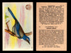 Birds - Useful Birds of America 3rd Series You Pick Singles Church & Dwight J-7 #19 California Jay  - TvMovieCards.com