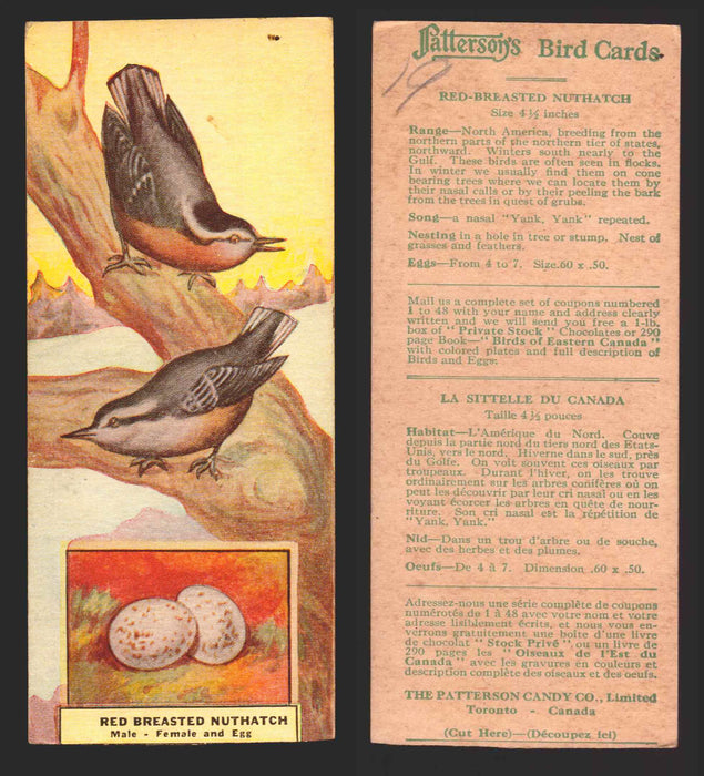 1924 Patterson's Bird Chocolate Vintage Trading Cards U Pick Singles #1-46 19 Red-Breasted Nuthatch  - TvMovieCards.com