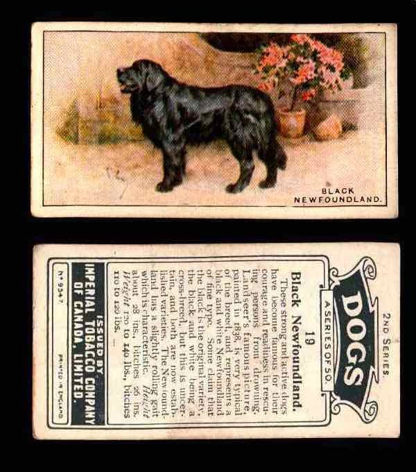 1925 Dogs 2nd Series Imperial Tobacco Vintage Trading Cards U Pick Singles #1-50 #19 Black Newfoundland  - TvMovieCards.com