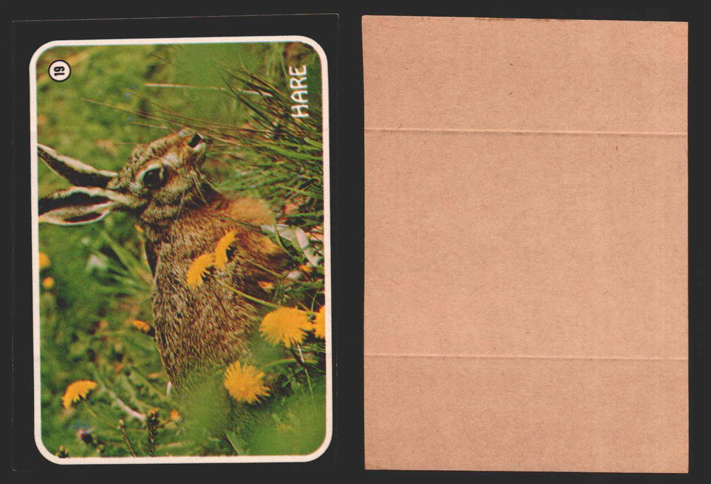 Zoo's Who Topps Animal Sticker Trading Cards You Pick Singles #1-40 1975 #19 Hare  - TvMovieCards.com
