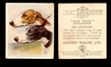 1939 Godfrey Phillips "Our Dogs" Tobacco You Pick Singles Trading Cards #1-30 #19 The Greyhound  - TvMovieCards.com