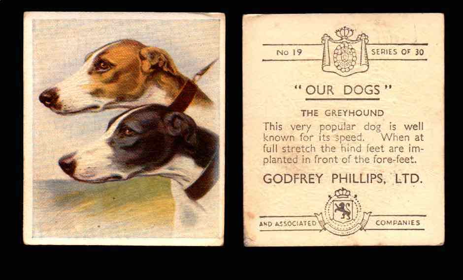 1939 Godfrey Phillips "Our Dogs" Tobacco You Pick Singles Trading Cards #1-30 #19 The Greyhound  - TvMovieCards.com
