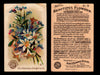 Beautiful Flowers New Series You Pick Singles Card #1-#60 Arm & Hammer 1888 J16 #19 Star of Bethlehem & Forget-Me-Not  - TvMovieCards.com